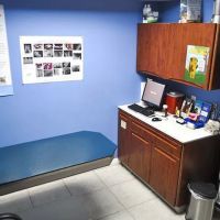 Bloomfield Animal Hospital ico