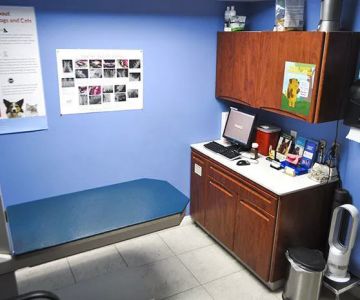 Bloomfield Animal Hospital