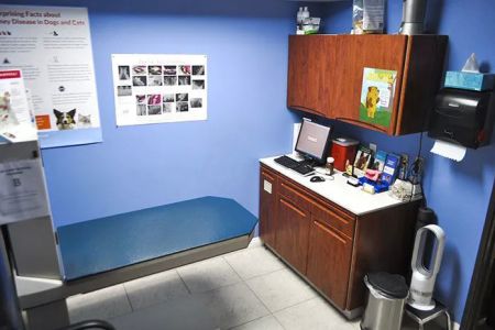 Bloomfield Animal Hospital