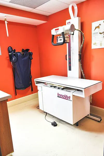 Bloomfield Animal Hospital 12
