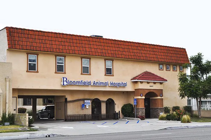 Bloomfield Animal Hospital 12