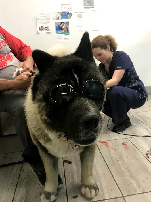 Los Coyotes Pet Hospital 8