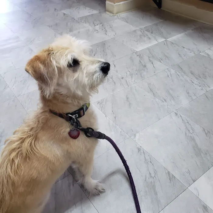 Artesia Animal Hospital 1