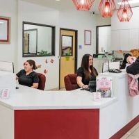 Lakewood Pet Vet ico