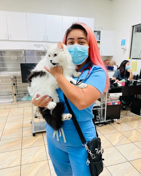 Lakewood Pet Vet 2