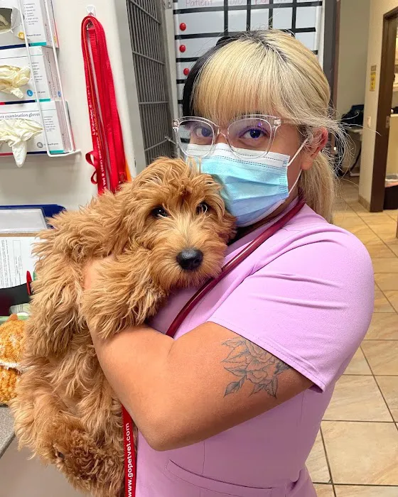 Lakewood Pet Vet 5