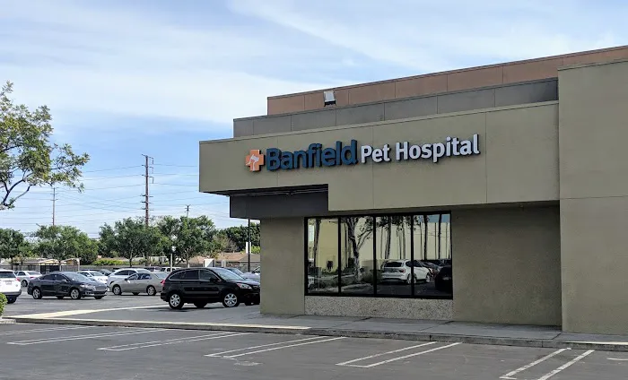 Banfield Pet Hospital 12