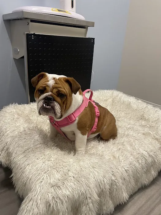 Aspire Veterinary Center 12