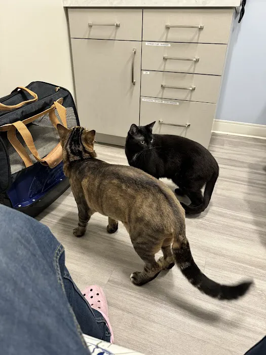 Aspire Veterinary Center 12