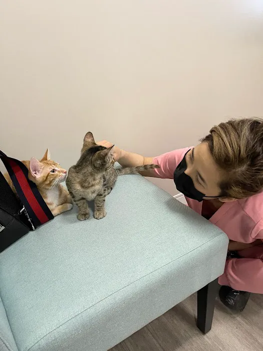 Aspire Veterinary Center 12