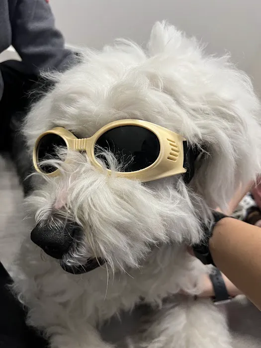 Aspire Veterinary Center 12