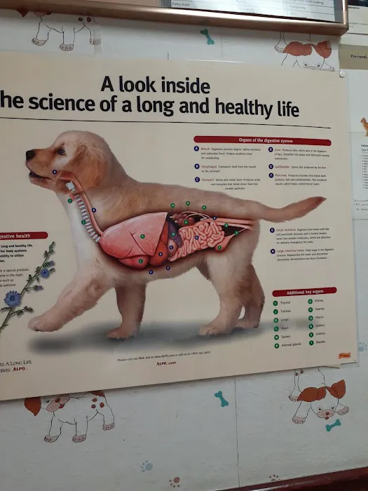 Walker Street Dog & Cat Hospital 12