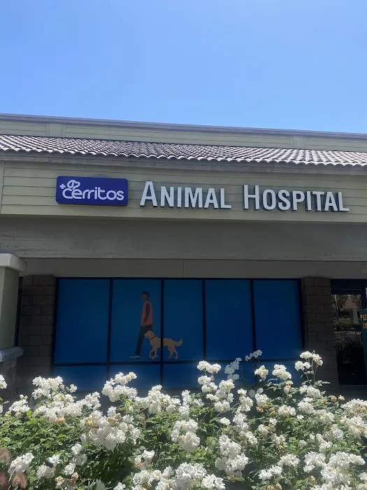 Cerritos Animal hospital 3