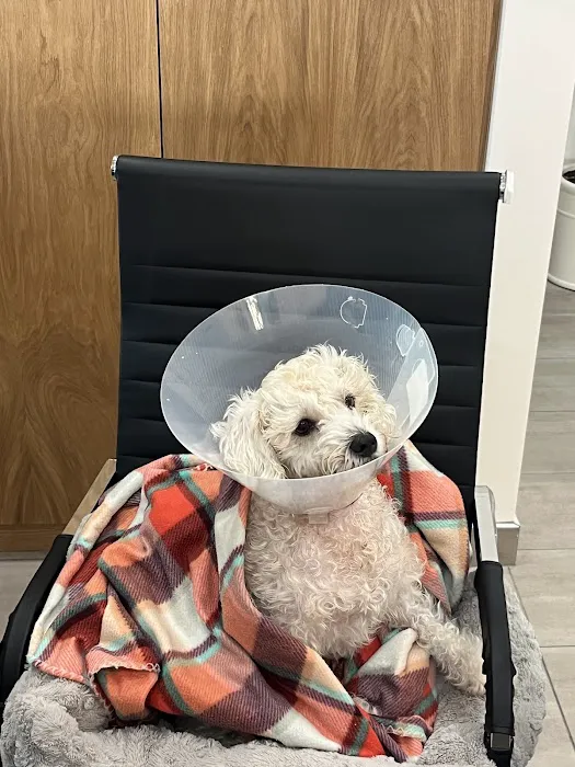 Cerritos Animal hospital 5
