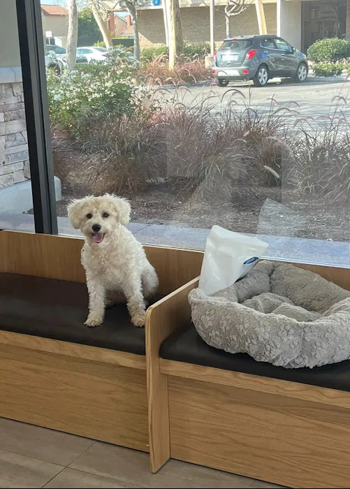 Cerritos Animal hospital 6