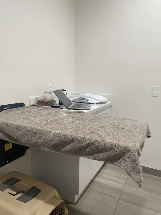 Cerritos Animal hospital 7