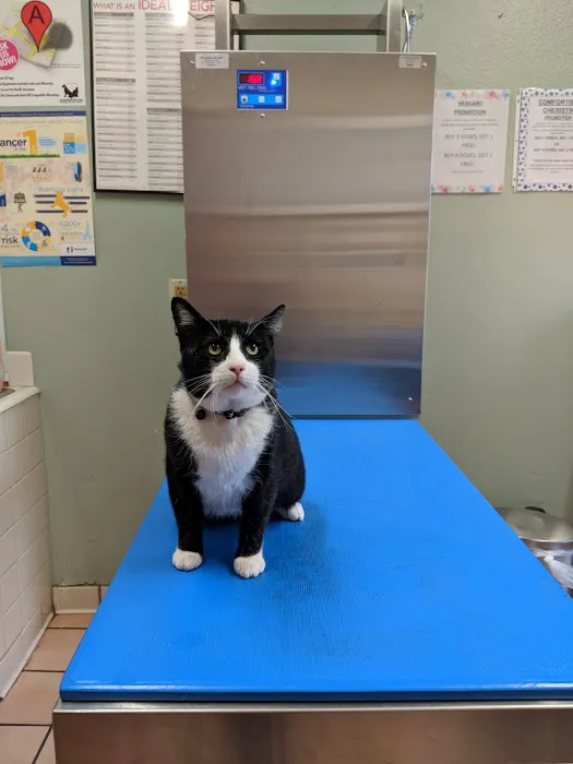 The Animal Doctors of Buena Park (formerly Orangethorpe Animal Aid Hospital) 12