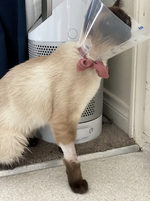 The Animal Doctors of Buena Park (formerly Orangethorpe Animal Aid Hospital) 12