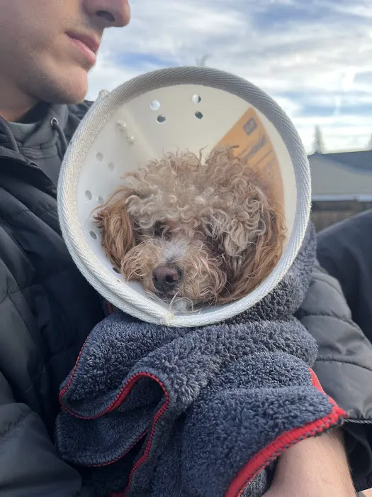 Holly Vet Clinic 12