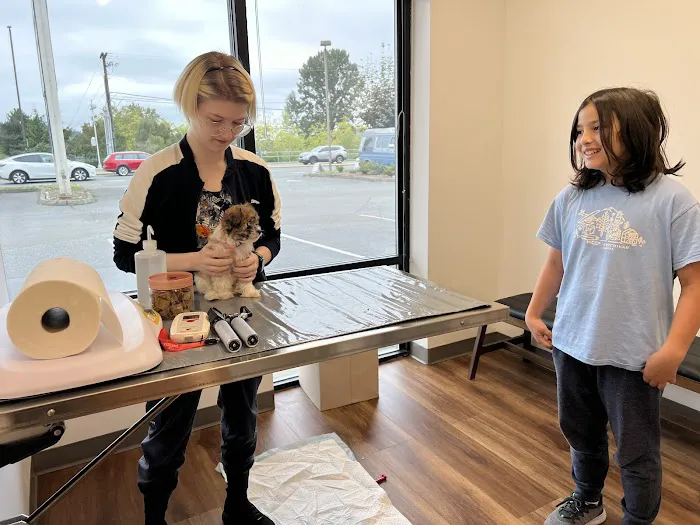 Holly Vet Clinic 12