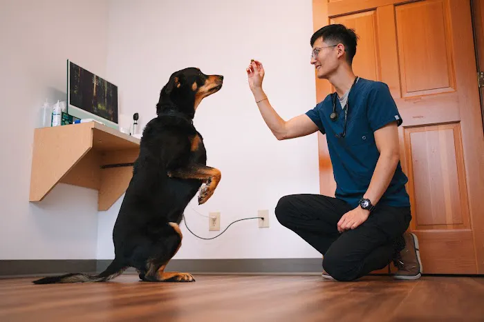 Holly Vet Clinic 12