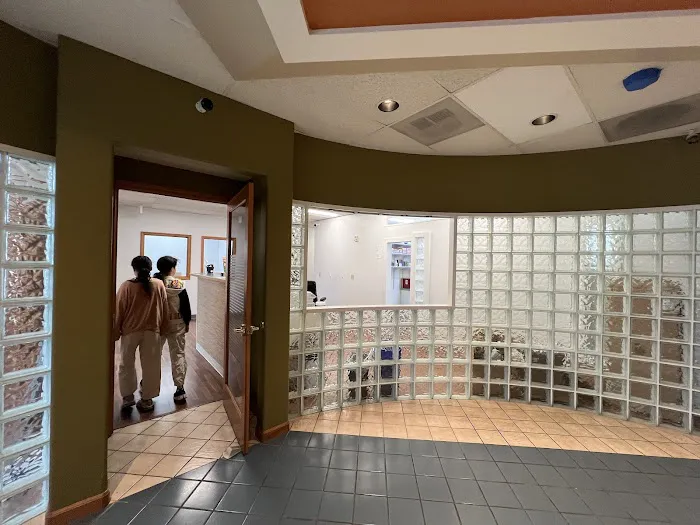 Holly Vet Clinic 12