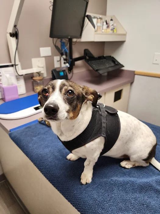 Kenmore Veterinary Hospital 3