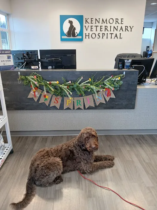 Kenmore Veterinary Hospital 6