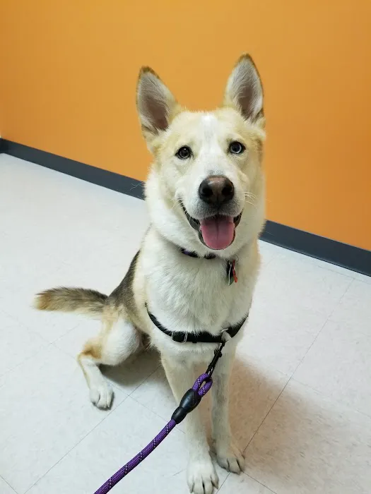 Shoreline Veterinary Hospital 12