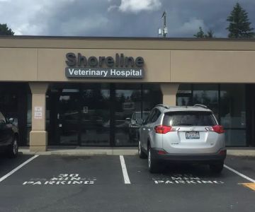 Shoreline Veterinary Hospital