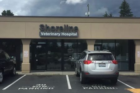 Shoreline Veterinary Hospital