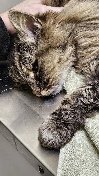 Shoreline Veterinary Hospital 12