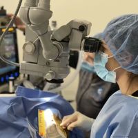 Animal Vision Center ico