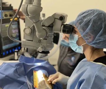 Animal Vision Center