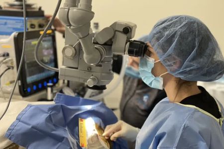 Animal Vision Center