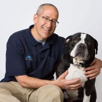 Northwest Veterinary Imaging ico