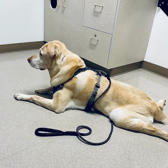 Northwest Veterinary Imaging 12