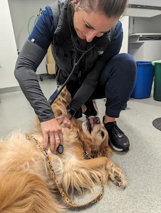 Northwest Veterinary Imaging 12
