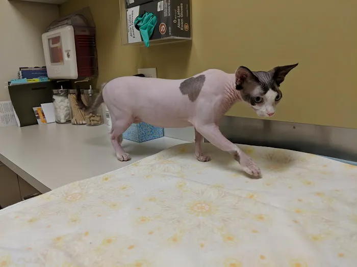 Juanita Bay Veterinary Hospital 4