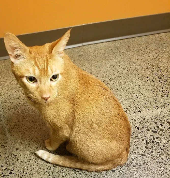Juanita Bay Veterinary Hospital 5