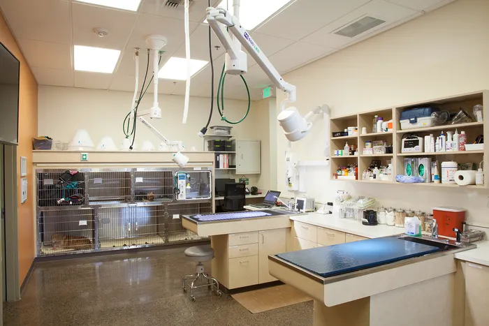 Juanita Bay Veterinary Hospital 10