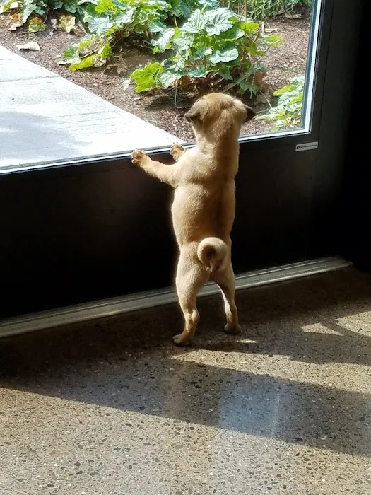 Juanita Bay Veterinary Hospital 3