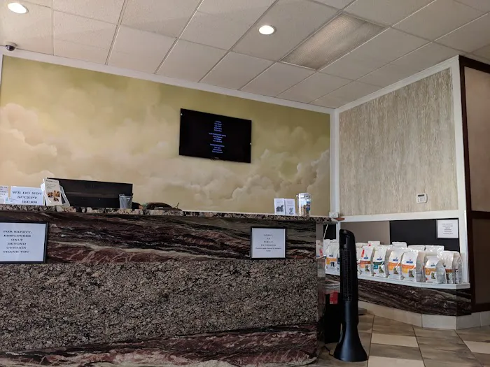 Angel Pet Hospital 7