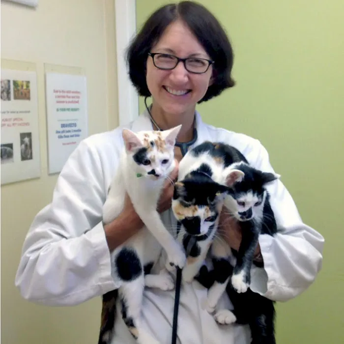 The Family Pet Veterinary Hospital 12