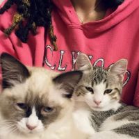 The Family Pet Veterinary Hospital ico