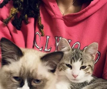 The Family Pet Veterinary Hospital