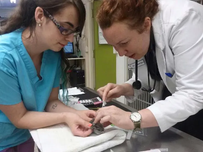 The Family Pet Veterinary Hospital 12