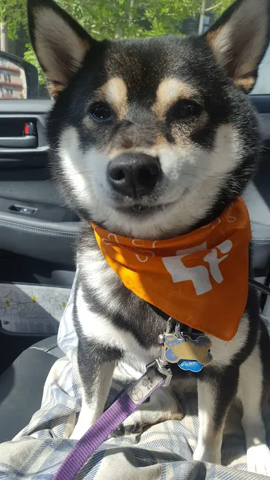 Banfield Pet Hospital 12