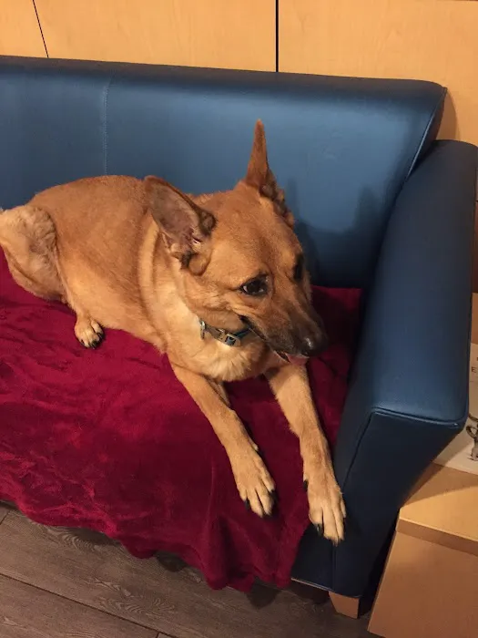 Banfield Pet Hospital 12