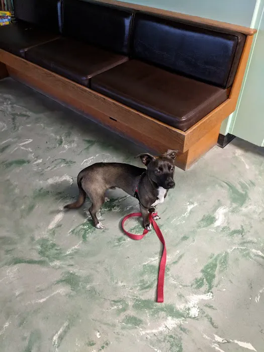 Ballard Animal Hospital 9